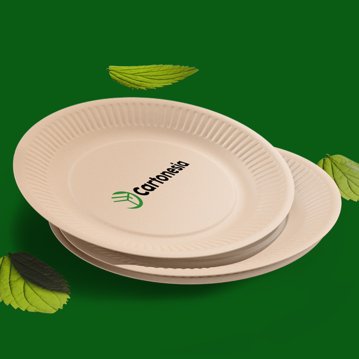 Cartonesia Piatti