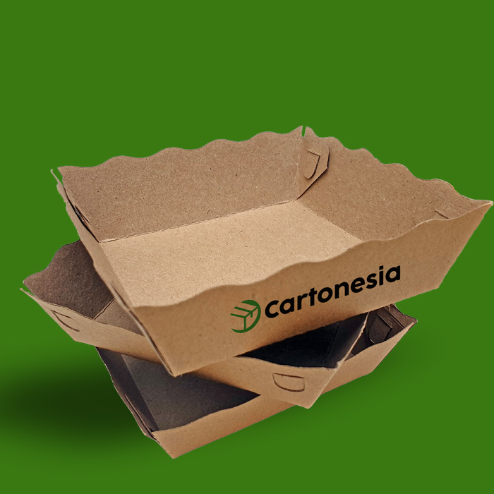 Cartonesia Vaschette